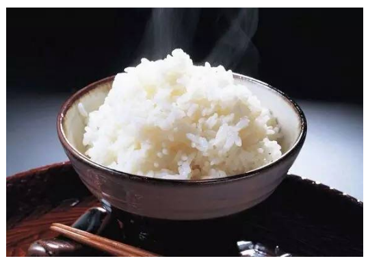 咸寧市酶——生物化學(xué)反應(yīng)的催化劑
